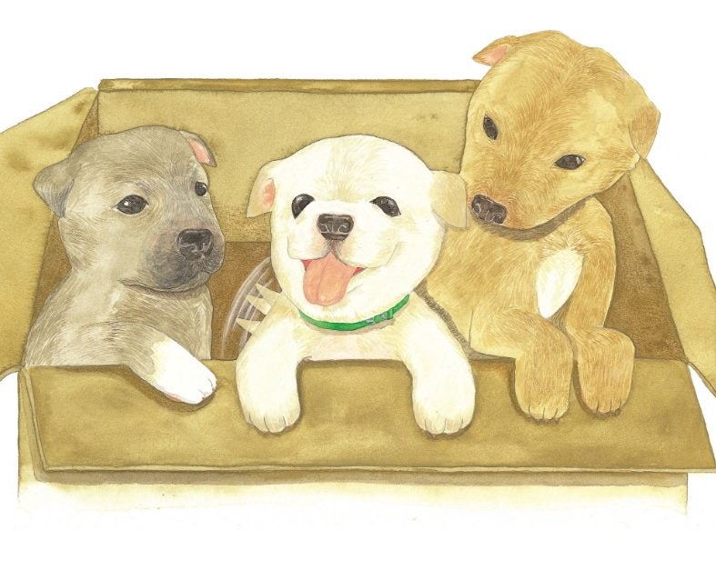 [그림책 한조각]내 친구 백구