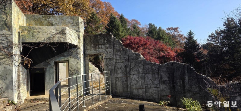 곰 떠난 자리, 350살 밤나무… 만추(晩秋)의 광릉숲엔 철학이 있다[김선미의 시크릿가든]