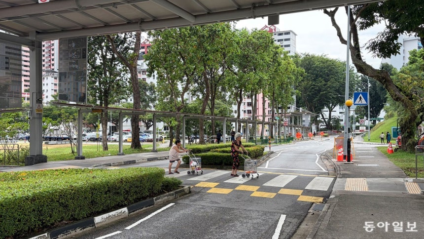 10월 27일(현지 시간) 싱가포르 부킷메라뷰에 설치된 실버존에서 고령자들이 길을 건너고 있다. 도로가 좁고 구불구불해 차량은 서행할 수밖에 없었고, 고령 보행자는 건널목 중간 교