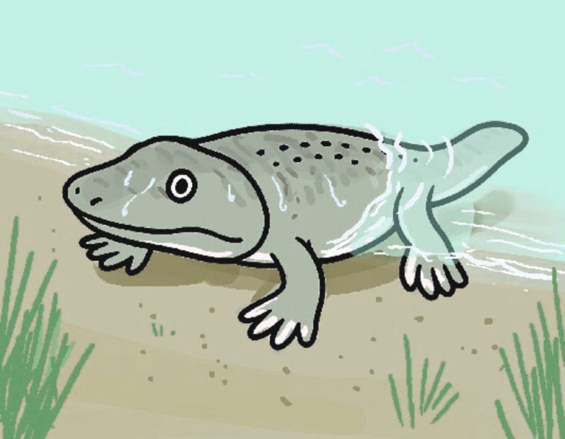 고생물학자의 ‘보물’ 찾기[서광원의 자연과 삶]〈115〉