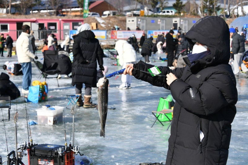 새해 첫날은 송어 낚시로 시작해볼까