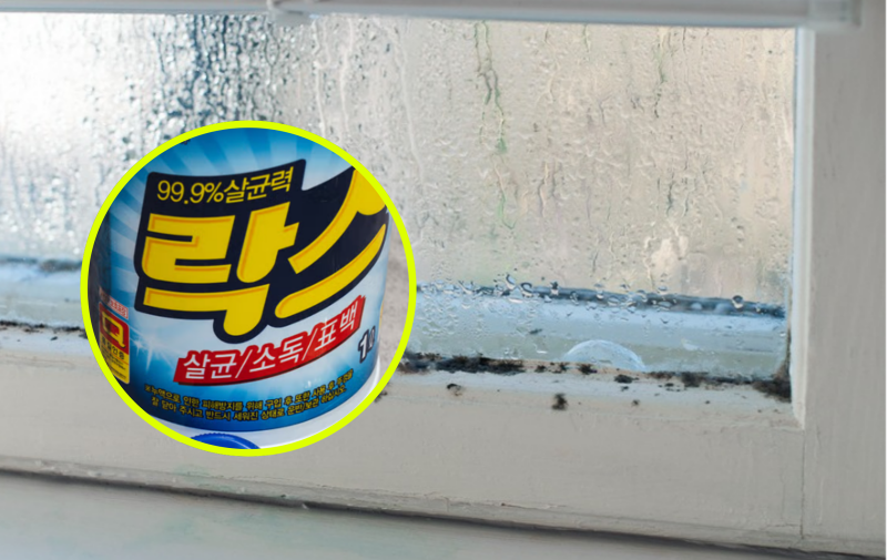 “팔 아프게 벅벅 NO!” 창문 곰팡이, 2000원으로 박멸 [알쓸톡]