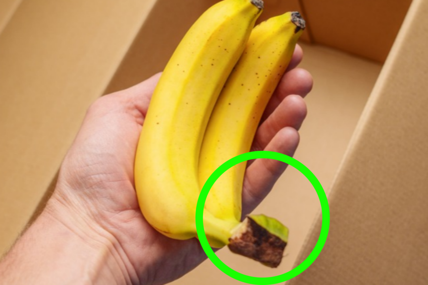 사진=게티이미지뱅크.