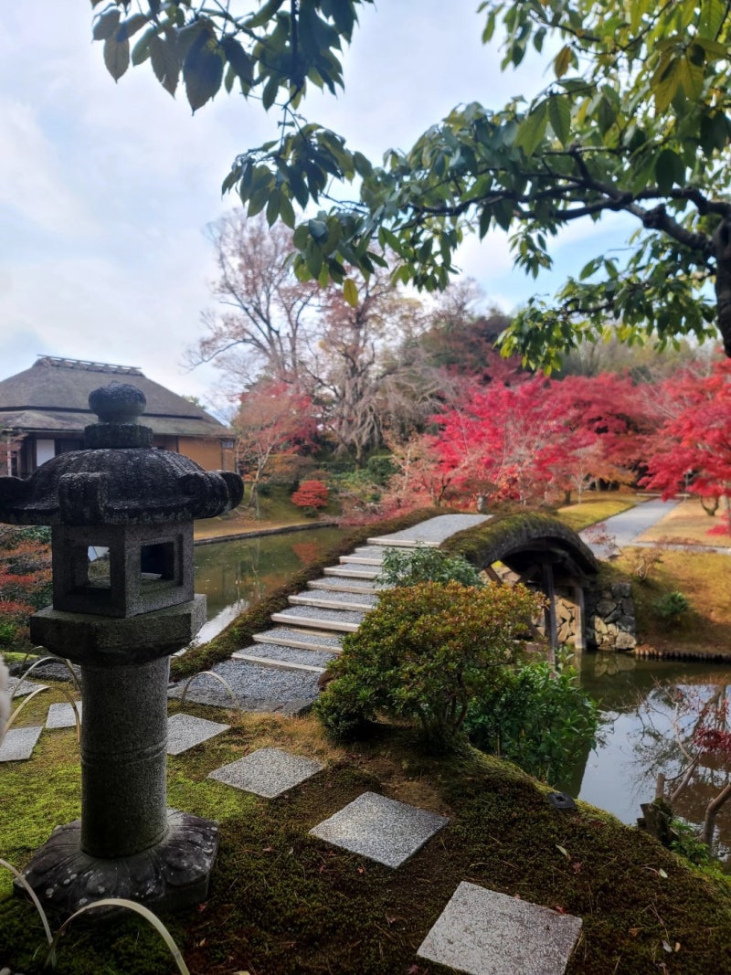 극락의 축소판, 교토 최고의 두 정원[정성갑의 공간의 재  발견]