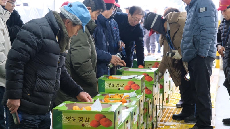 어느 곶감이 제일 맛있으려나