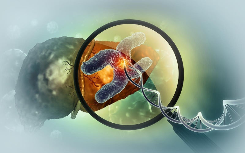 2m 길이 DNA, 몸속에 어떻게 들어 있을까… 3차원 지도 나왔다