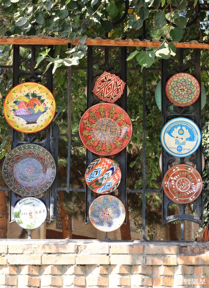 [고양이 눈]담장 위 전시회