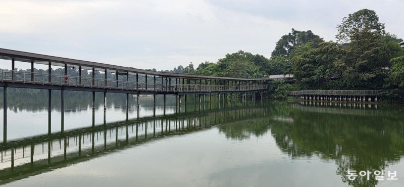 싱가포르의 주토피아 실험… ‘자연 속 도시’ 만다이[김선미의 시크릿가든]