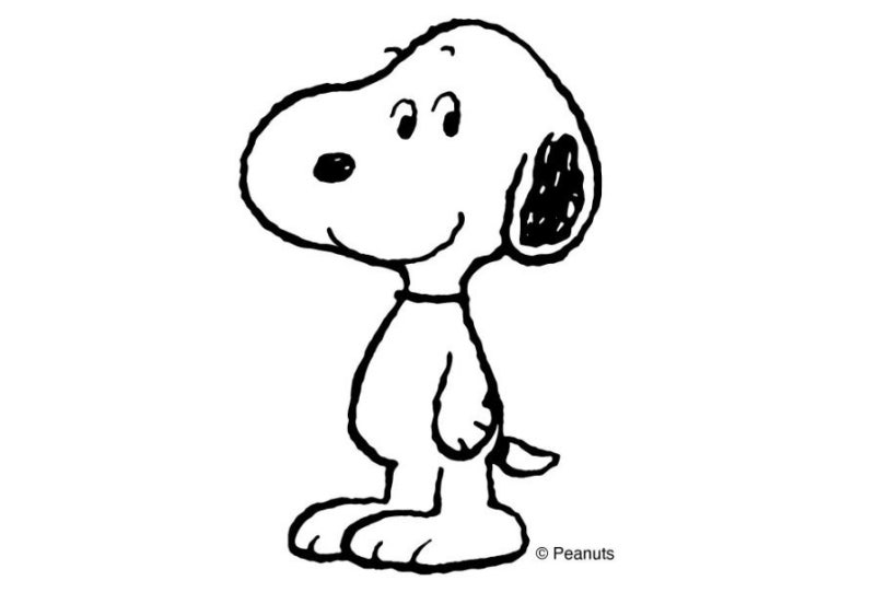 소니, 6770억원에 ‘스누피’ 품었다