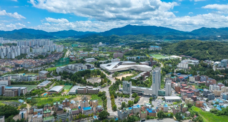 학과별 정원 160%까지 전공 선택권 보장