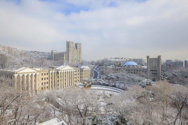 영어 2등급까지 만점-과탐 가산점 유지… 한의예과는 사회계열 영역 적용