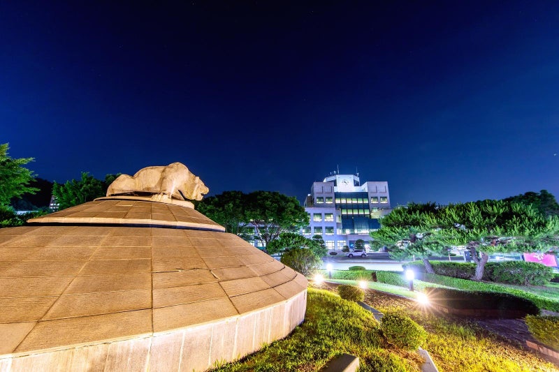 학생부 반영 없이 수능 성적 100% 반영