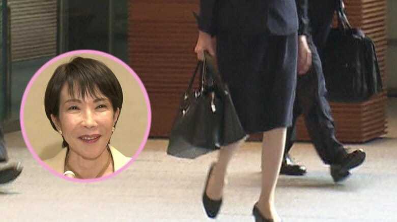 다카이치 사나에 일본 총리가 애용하는 가죽 토트백의 모습.FNN 갈무리