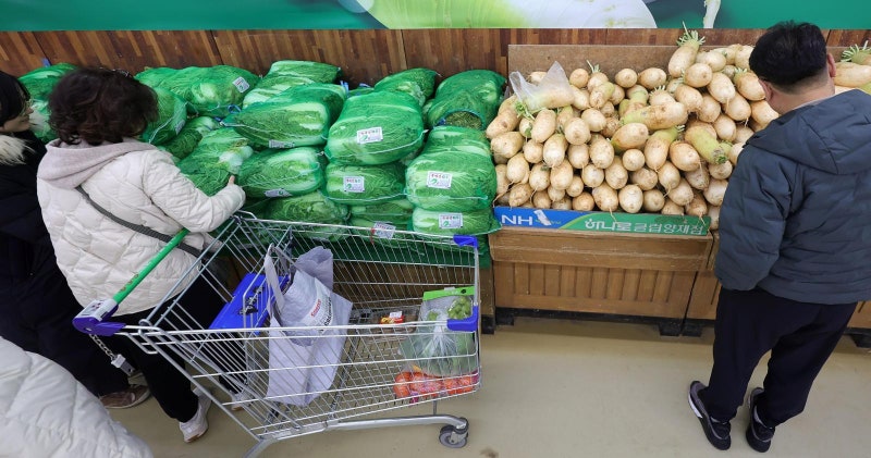 기상 악화에 가을배추-무 생산량 줄어들어