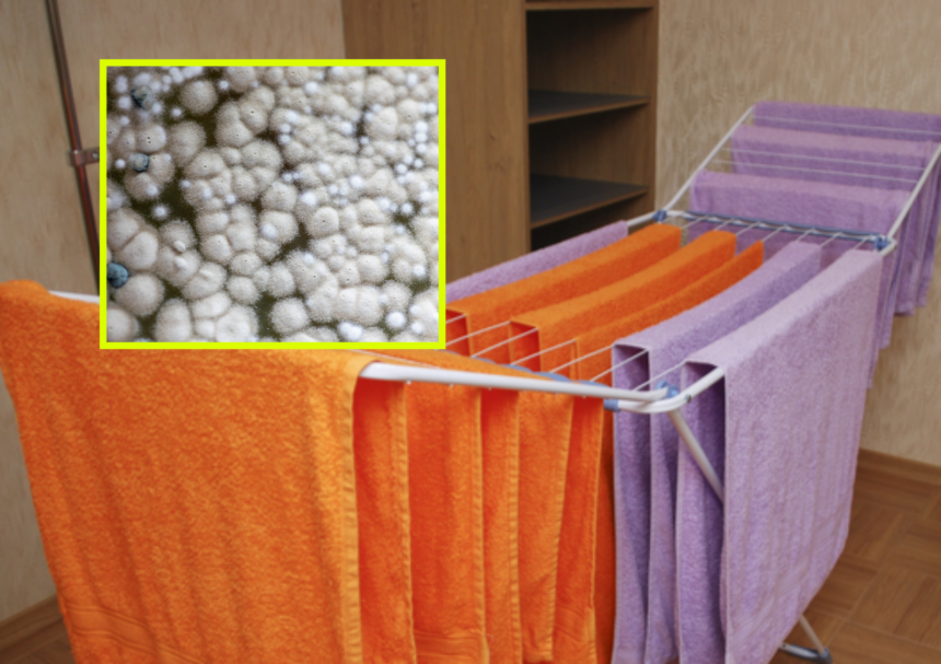 실내 빨래 건조는 습도를 높여 곰팡이 번식을 유발하고 호흡기에 중증 감염을 일으킬 수 있다.건강을 위해 창가 환기와 제습기 사용을 병행하고,<a href=