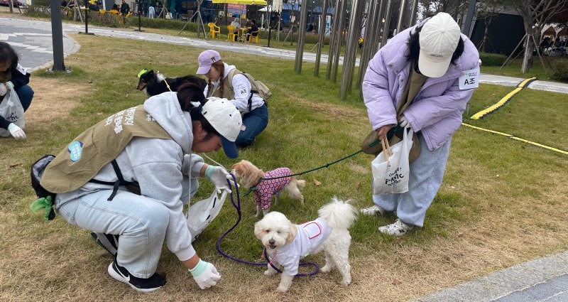 유기견 구조해 새 가족 품으로… 입양 활성화 ‘메카’