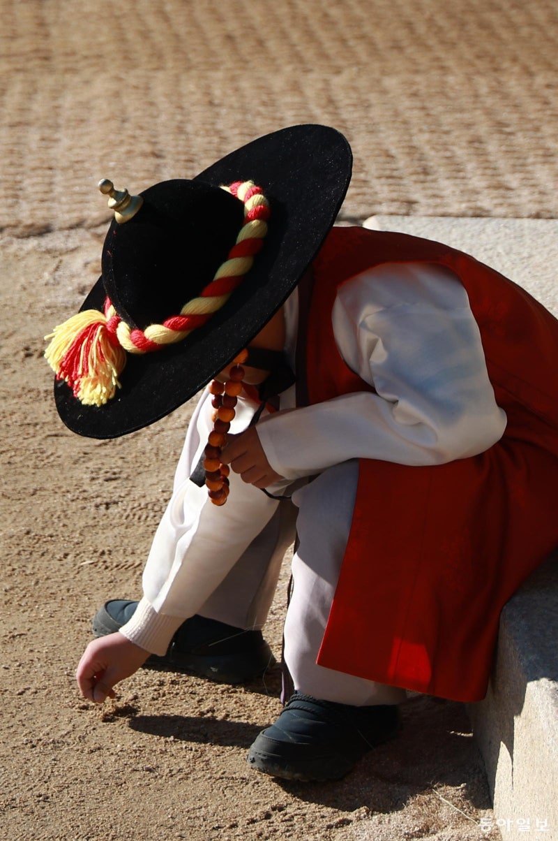 [고양이 눈]“뭣이 중헌디!”