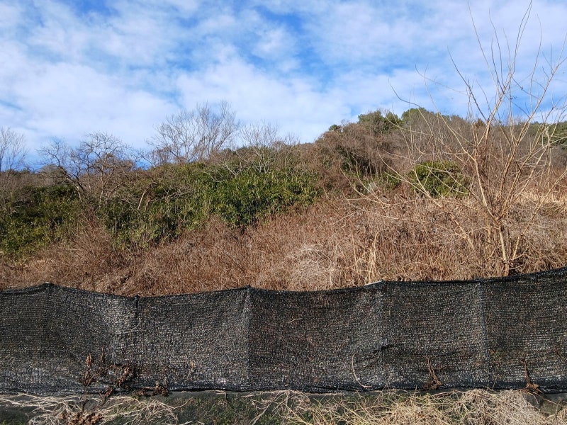 1000원씩 모아… 무등산 57만㎡ 지켰다