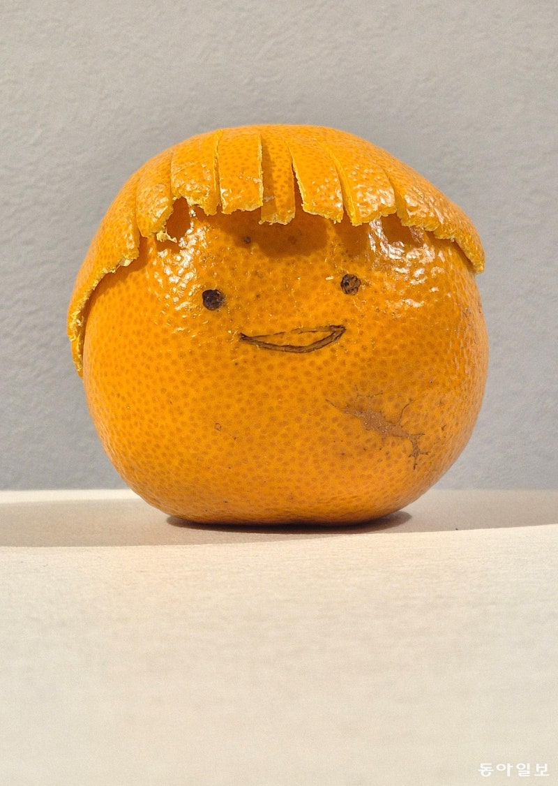 [고양이 눈]“여행 가고 싶어요!”