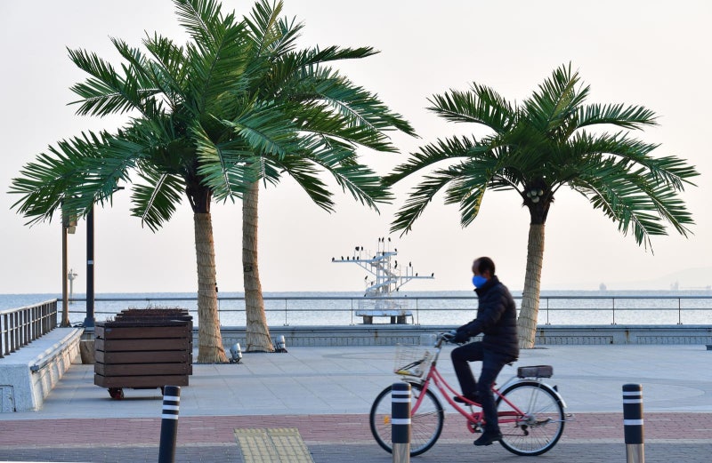 “한겨울에도 푸른 낭만 속을 달려요”