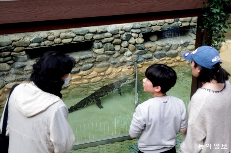 겨울에도… 동물원은 살아있다