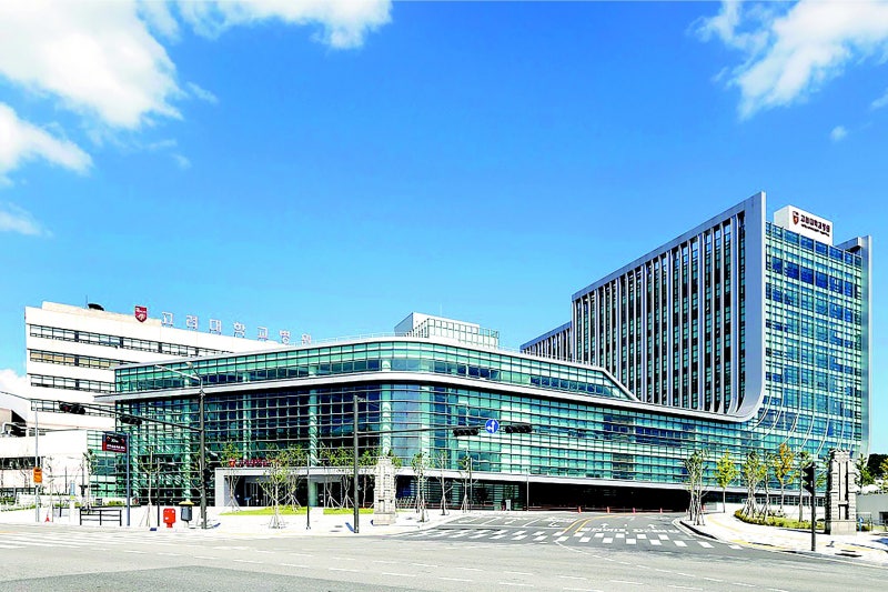 고대 안암-구로병원 ‘집중 치료병원’ 선정… 올부터 급성기 정신질환자 치료허브 역할