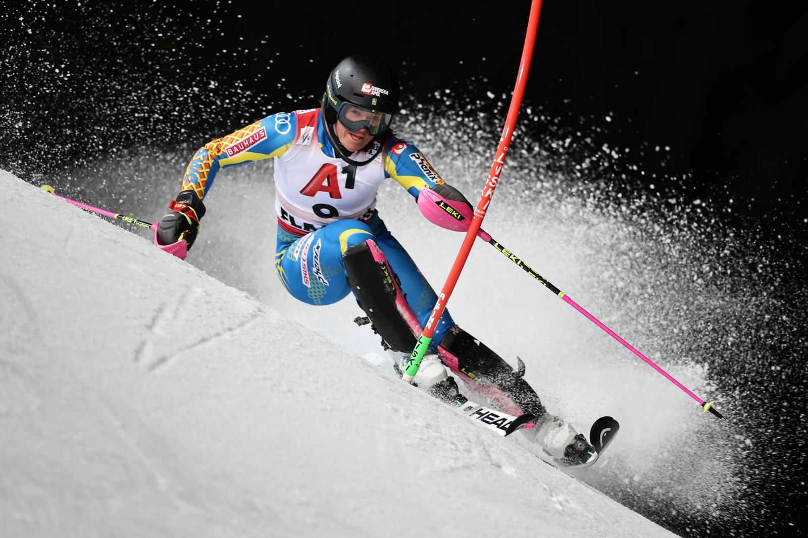 거침 없는 질주