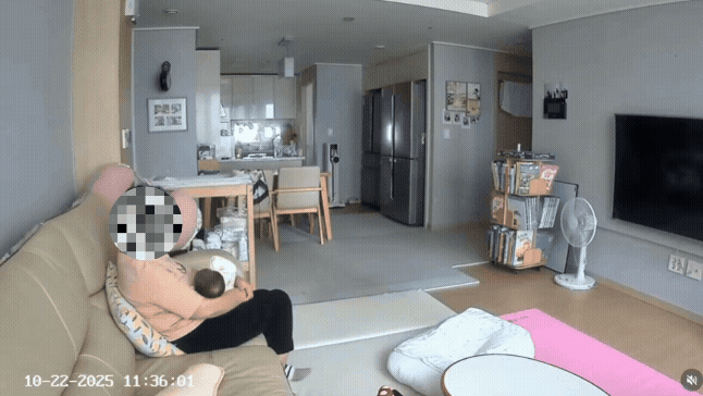 보배드림 갈무리  