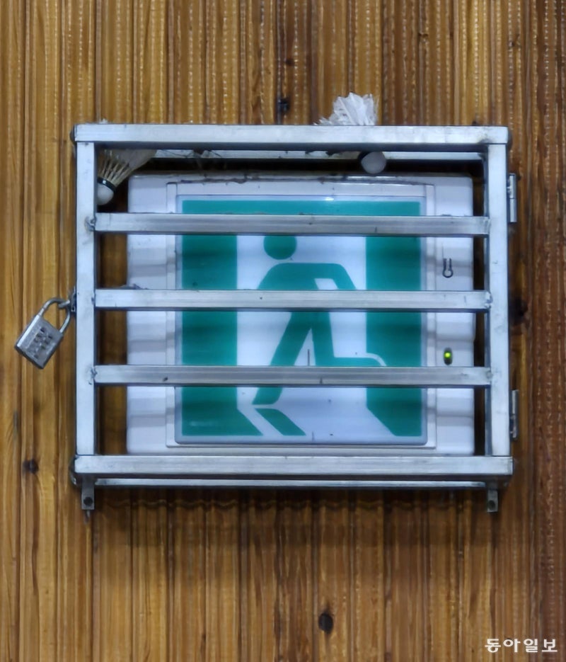 [고양이 눈]출구를 향해