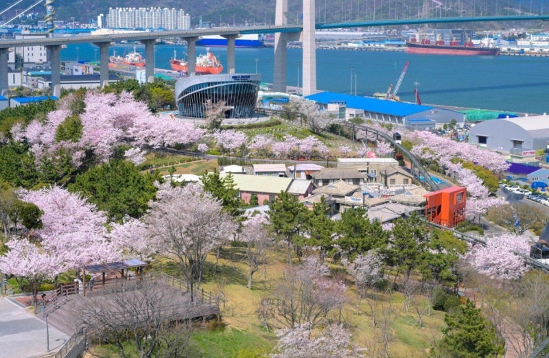 장생포 고래문화마을 문체부 ‘로컬100’ 선정