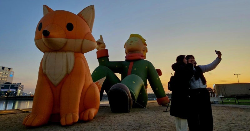 거북섬에 온 어린 왕자