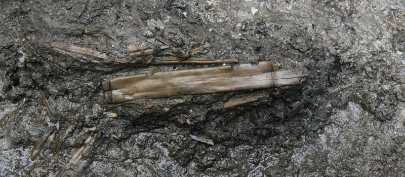 1400년 전 ‘백제 피리’ 소리가 깨어난다