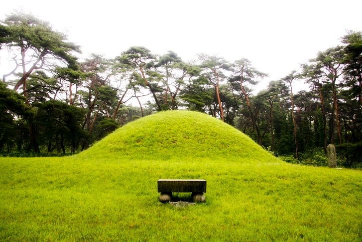 제주지법은 본인 소유 토지 내 분묘 때문에 대출이 거절되자 굴삭기로 타인의 묘를 무단 발굴한 60대 여성에게 징역 6개월에 집행유예 1년을 선고했다. 게티이미지뱅크