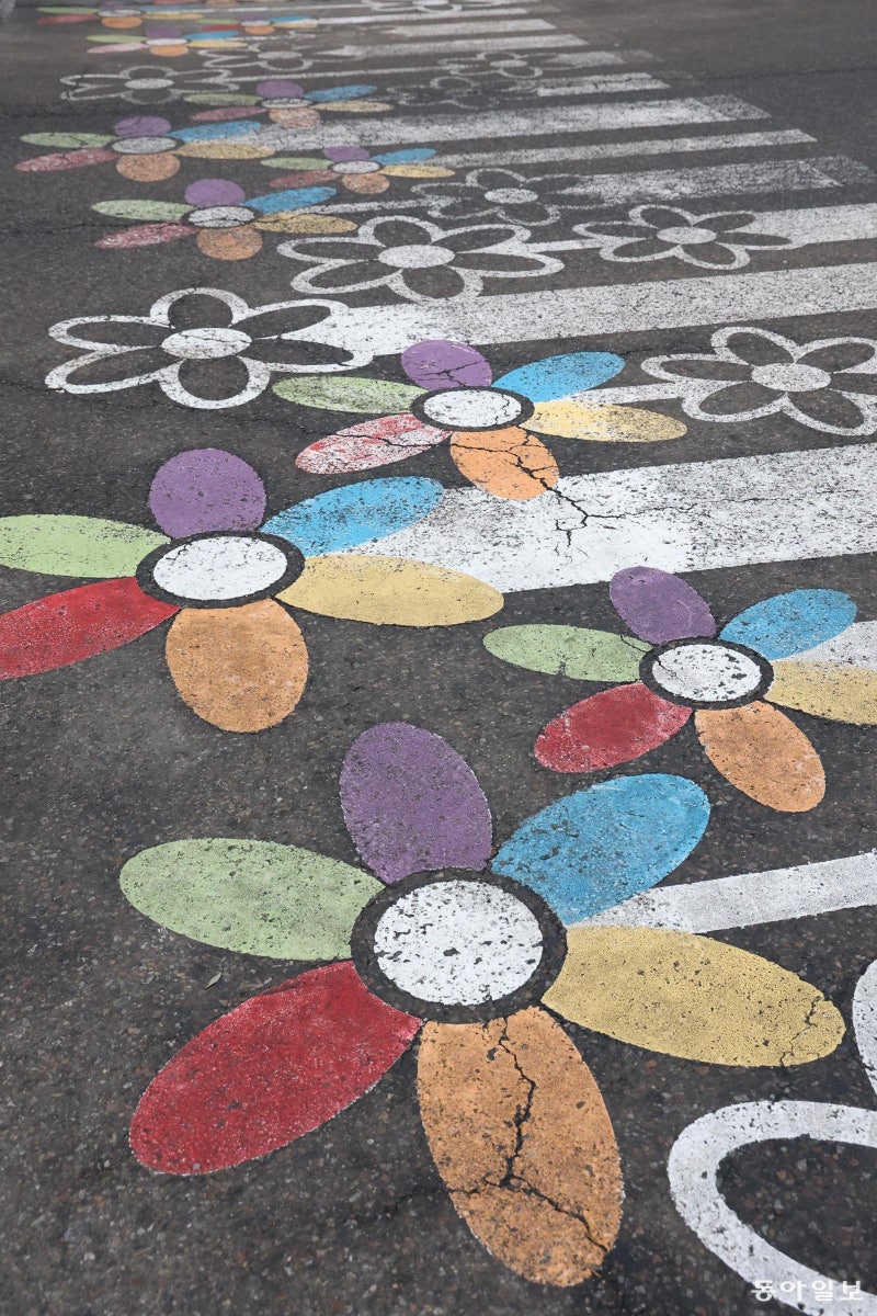 [고양이 눈]꽃길만 걷자