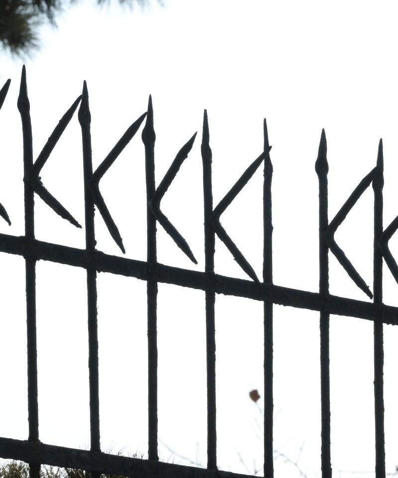 [고양이 눈]무엇으로 보이시나요?