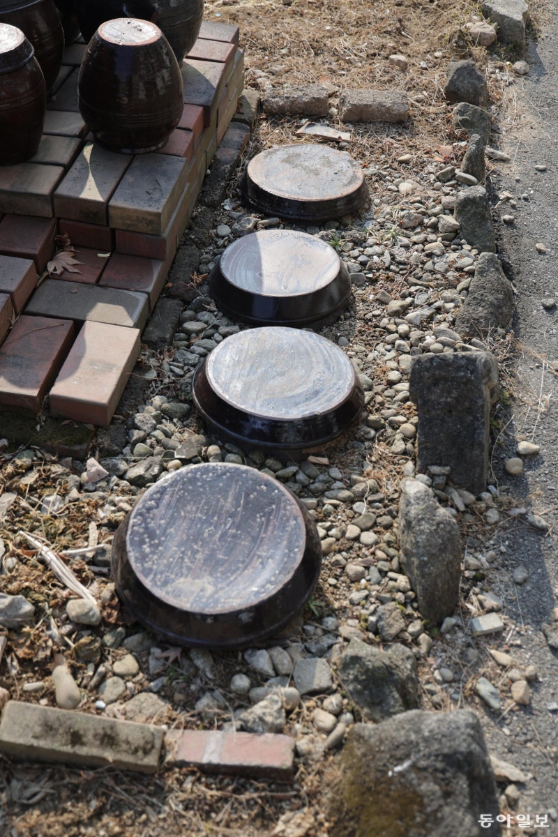 [고양이 눈]봄볕 아래 장독