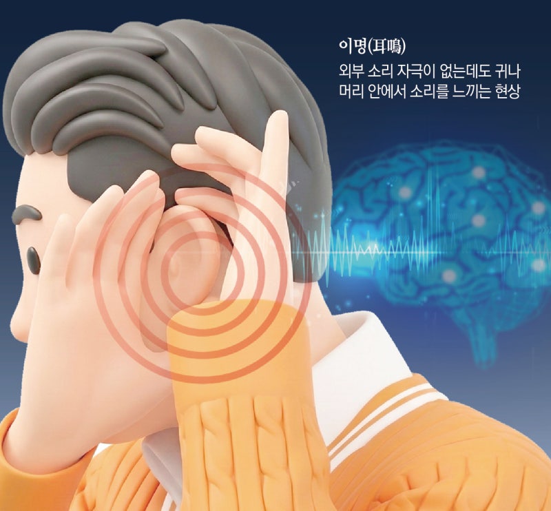 ‘삐∼’ ‘윙∼’ 귓속 소리… 귀 질환 아닌 뇌가 보내는 잡음일 가능성[이진형의 뇌, 우리 속의 우주]