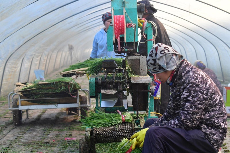 “국내 상주 외국인 170만 육박… 절반이 월급 200만~300만원”