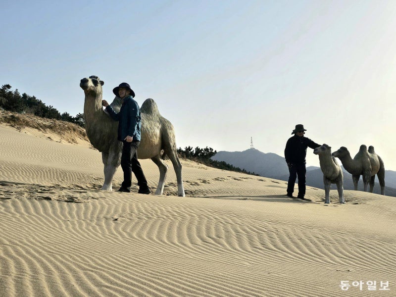 한국에도 사막이?