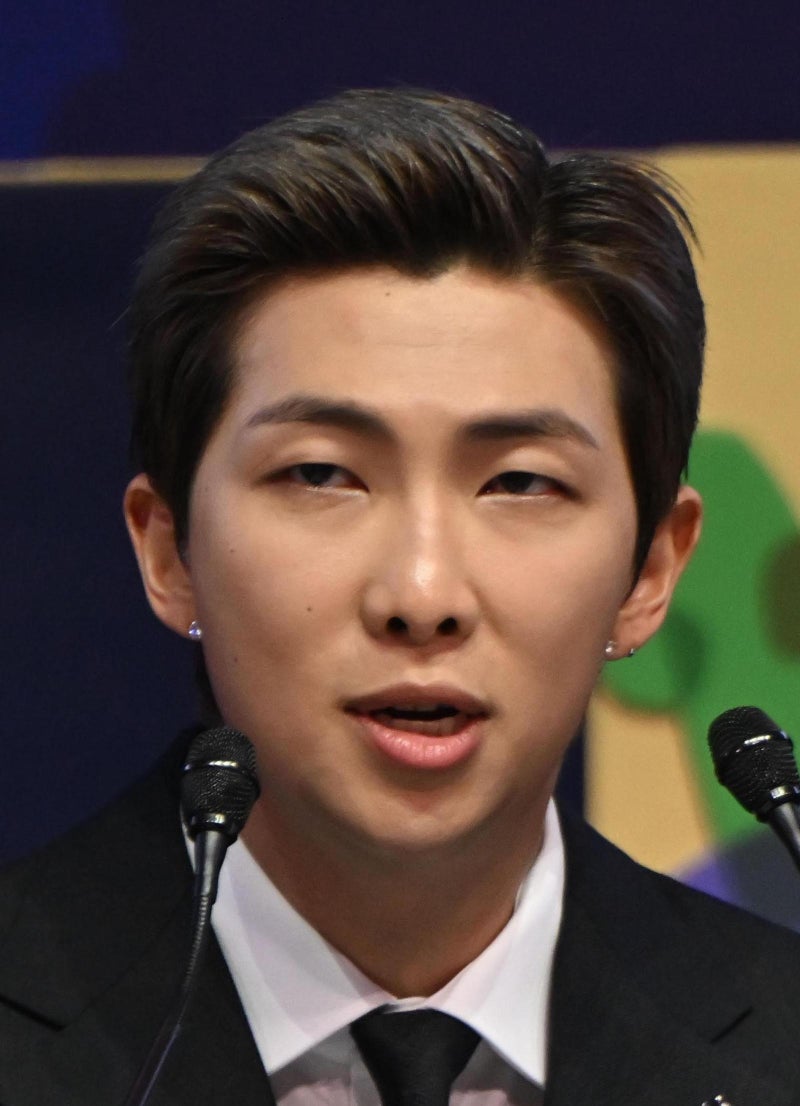 BTS RM 기부금으로 해외 韓회화 정리한 도록 펴내
