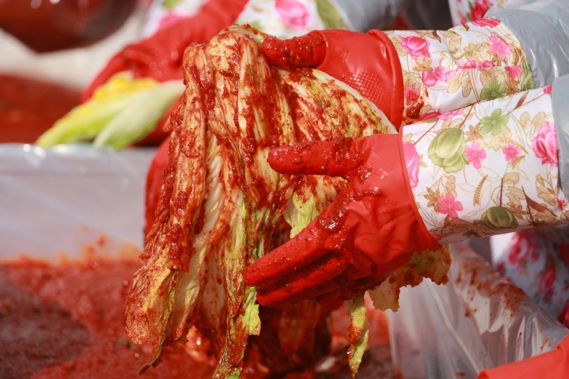 “김치 유산균이 장내 미세플라스틱 배출 촉진”