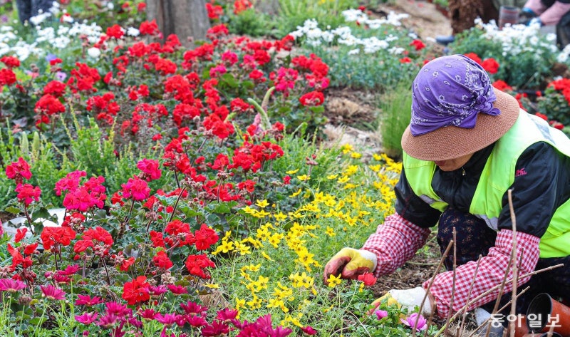 정성스레 봄을 옮겨 심어요