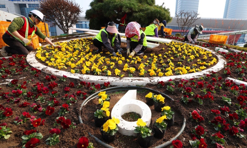 알록달록… 대전도 봄맞이로 분주