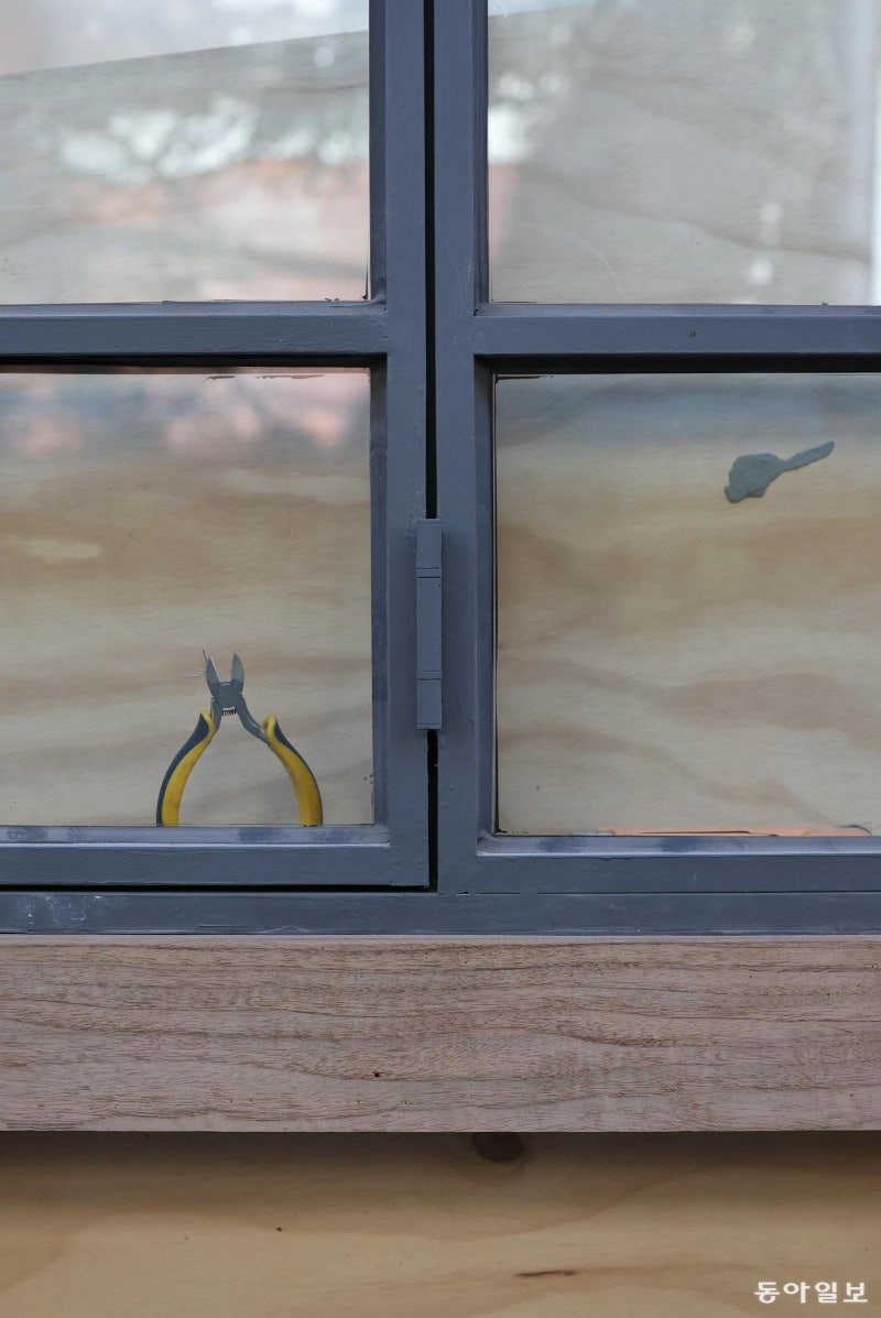 [고양이 눈]일상이 만든 예술