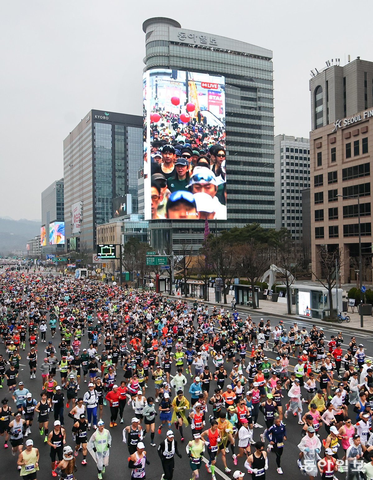 4만명 ‘마라톤 축제’… 2년 연속 역대 최다
