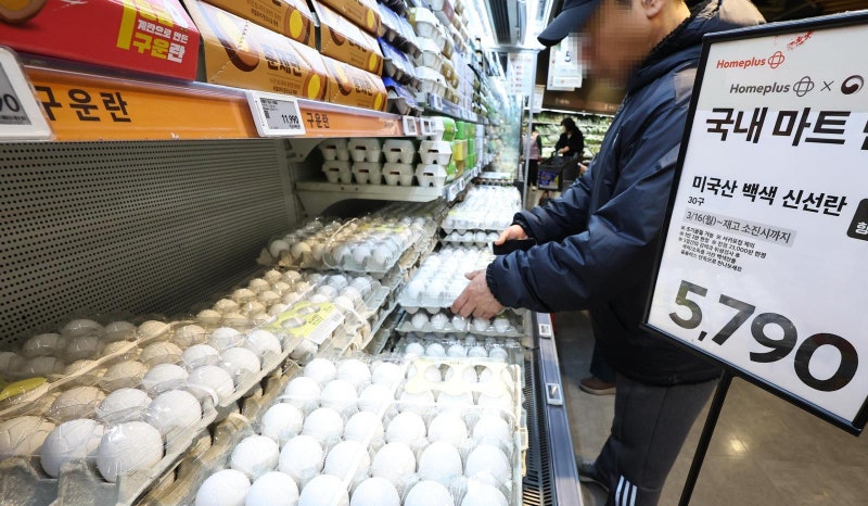 달걀값 20%↑… 소-돼지-닭 전염병에 축산물값 비상