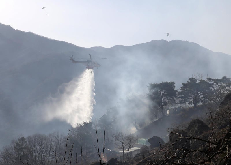 함양 산불 범인은 ‘봉대산 불다람쥐’… 17년간 90여건 방화