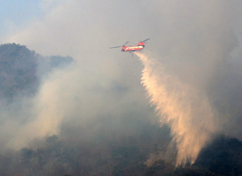 올해 산불 벌써 152건… 작년의 8배 면적 불타