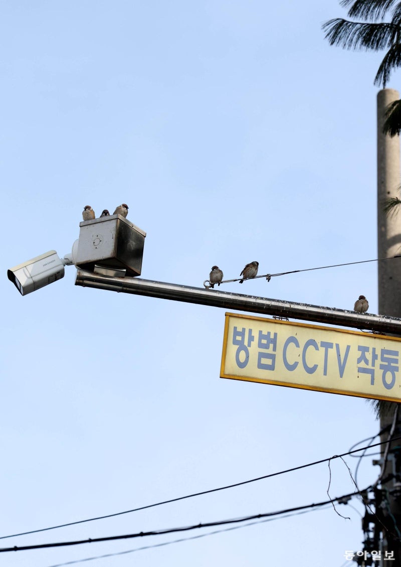 [고양이 눈]“이 구역은 우리가 지킨다”