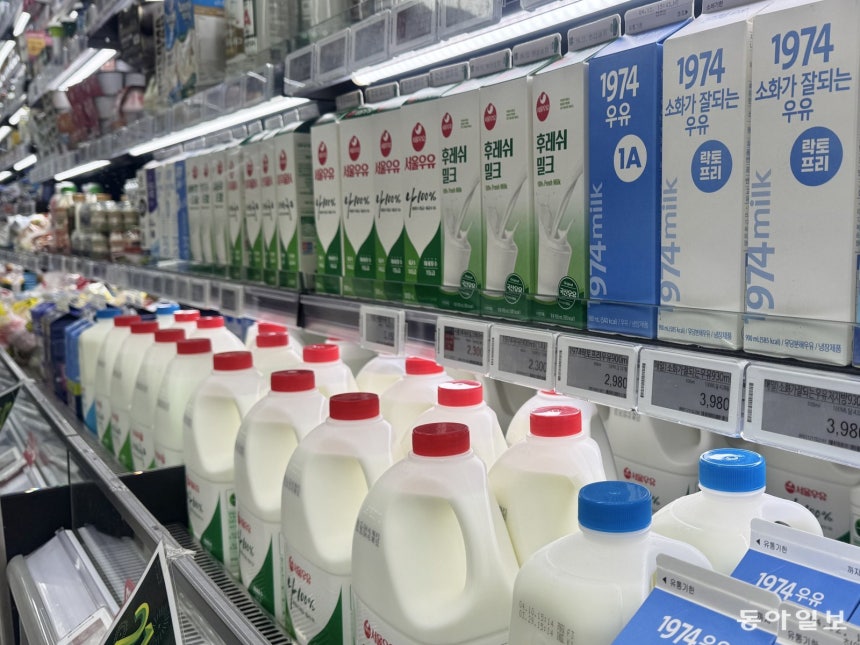 서울 시내의 한 마트에 국산 흰 우유 제품들이 진열돼 있다.낙농진흥회에 따르면 국민 한 명당 평균 흰 우유 소비량은 2021년 26.6kg에서 지난해 22.9kg으로 역대 최저 수준으로 줄었다. 김다연 기
